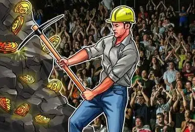 An organized mining farm showcasing multiple mining rigs