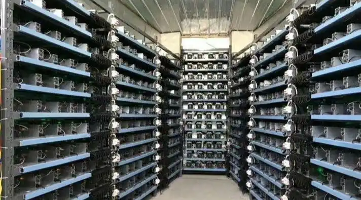 A close-up of a high-performance mining rig