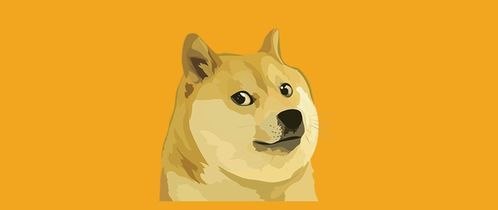 A close-up shot of a high-performance GPU used in a Dogecoin mining rig